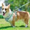Floral Dog Harness and Leash Set - Adjustable Comfort Vest for Small to Large Dogs