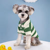 Premium Dog Polo Shirt - Summer Casual Wear for Small & Large Dogs