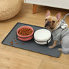 Silicone Pet Feeding Mat with Paw Print