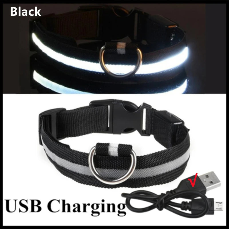 LED USB Rechargeable Dog Collar - 3 Light Modes for Night Safety