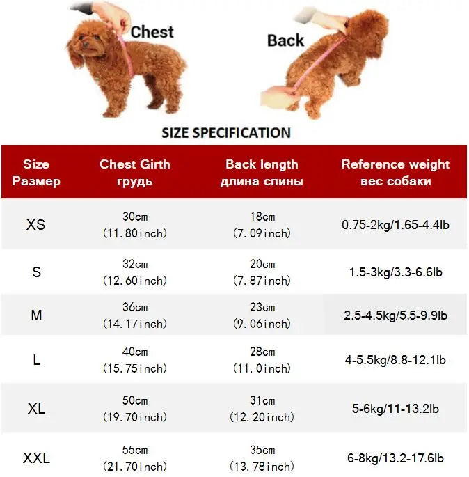 Premium Denim Cat Vest - Spring & Autumn Jacket for Small to Medium Cats