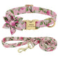 Personalized Dog Collar and Leash Set with Free Engraving