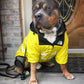 Waterproof Dog Raincoat with Hood
