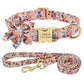 Personalized Dog Collar and Leash Set with Free Engraving