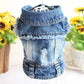 Premium Denim Cat Vest - Spring & Autumn Jacket for Small to Medium Cats