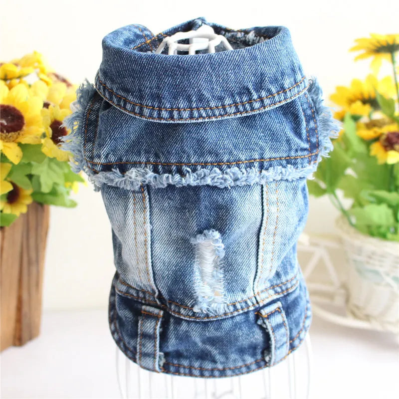 Premium Denim Cat Vest - Spring & Autumn Jacket for Small to Medium Cats
