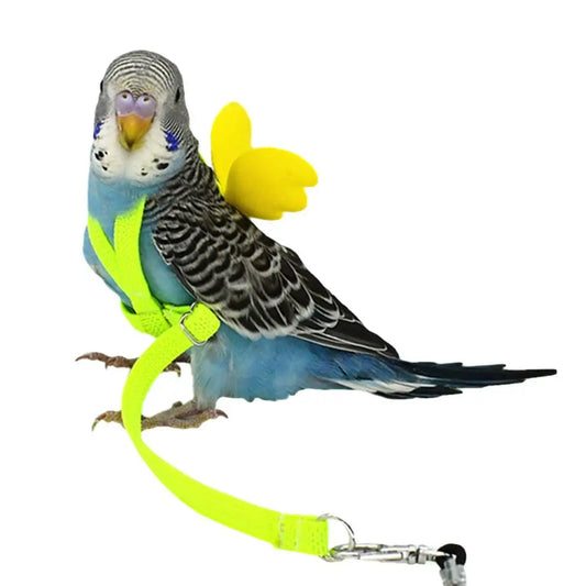 Adjustable Parrot Bird Harness and Leash Set