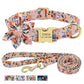 Personalized Dog Collar and Leash Set with Free Engraving