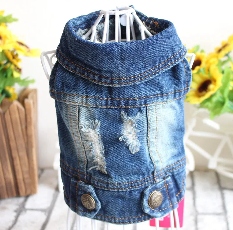 Premium Denim Cat Vest - Spring & Autumn Jacket for Small to Medium Cats