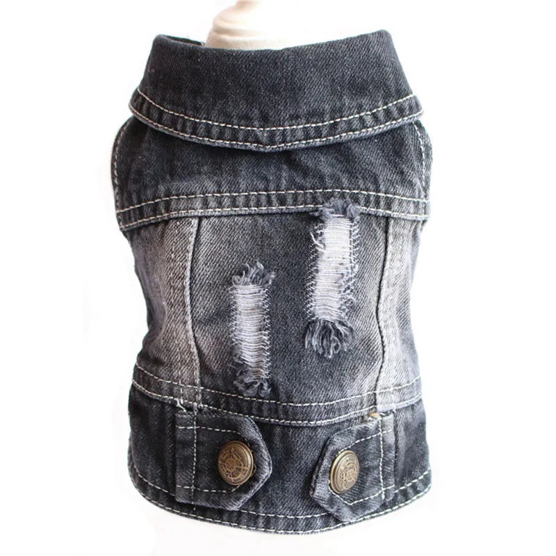 Premium Denim Cat Vest - Spring & Autumn Jacket for Small to Medium Cats