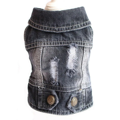 Premium Denim Cat Vest - Spring & Autumn Jacket for Small to Medium Cats