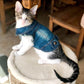 Premium Denim Cat Vest - Spring & Autumn Jacket for Small to Medium Cats