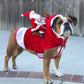 Christmas Dog Costume - Santa Outfit for Dogs and Cats