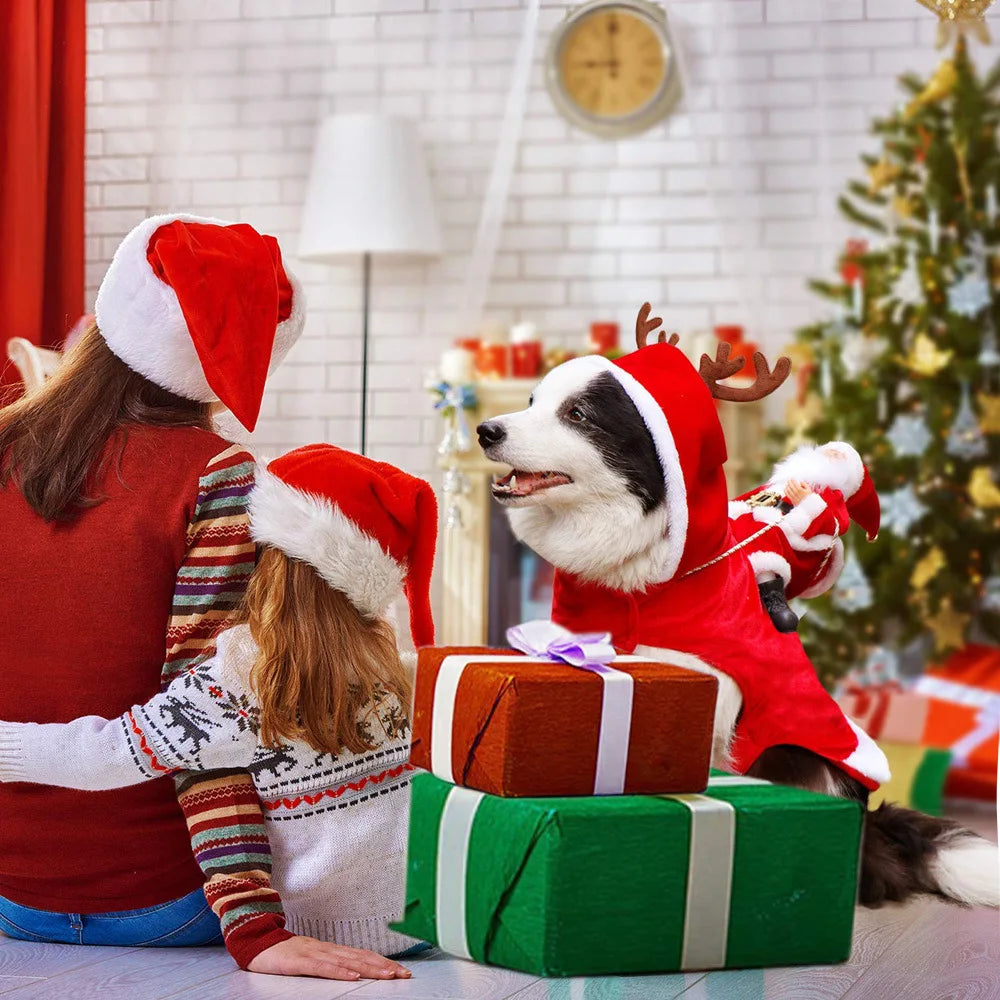 Christmas Dog Costume - Santa Outfit for Dogs and Cats