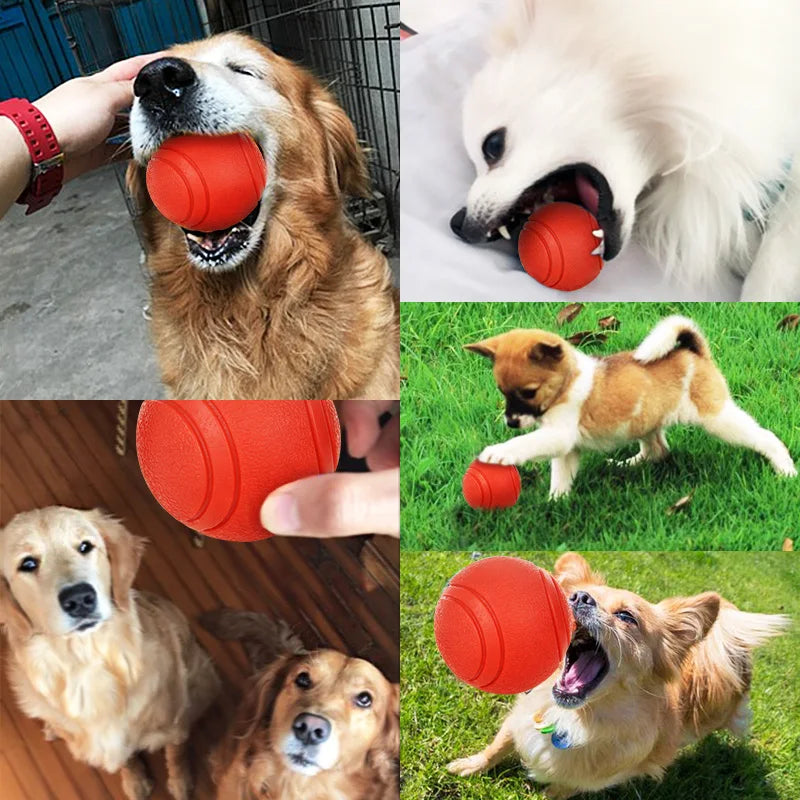 Durable Rubber Ball Dog Toy - Bite-Resistant Interactive Play Ball