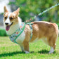Floral Dog Harness and Leash Set - Adjustable Comfort Vest for Small to Large Dogs