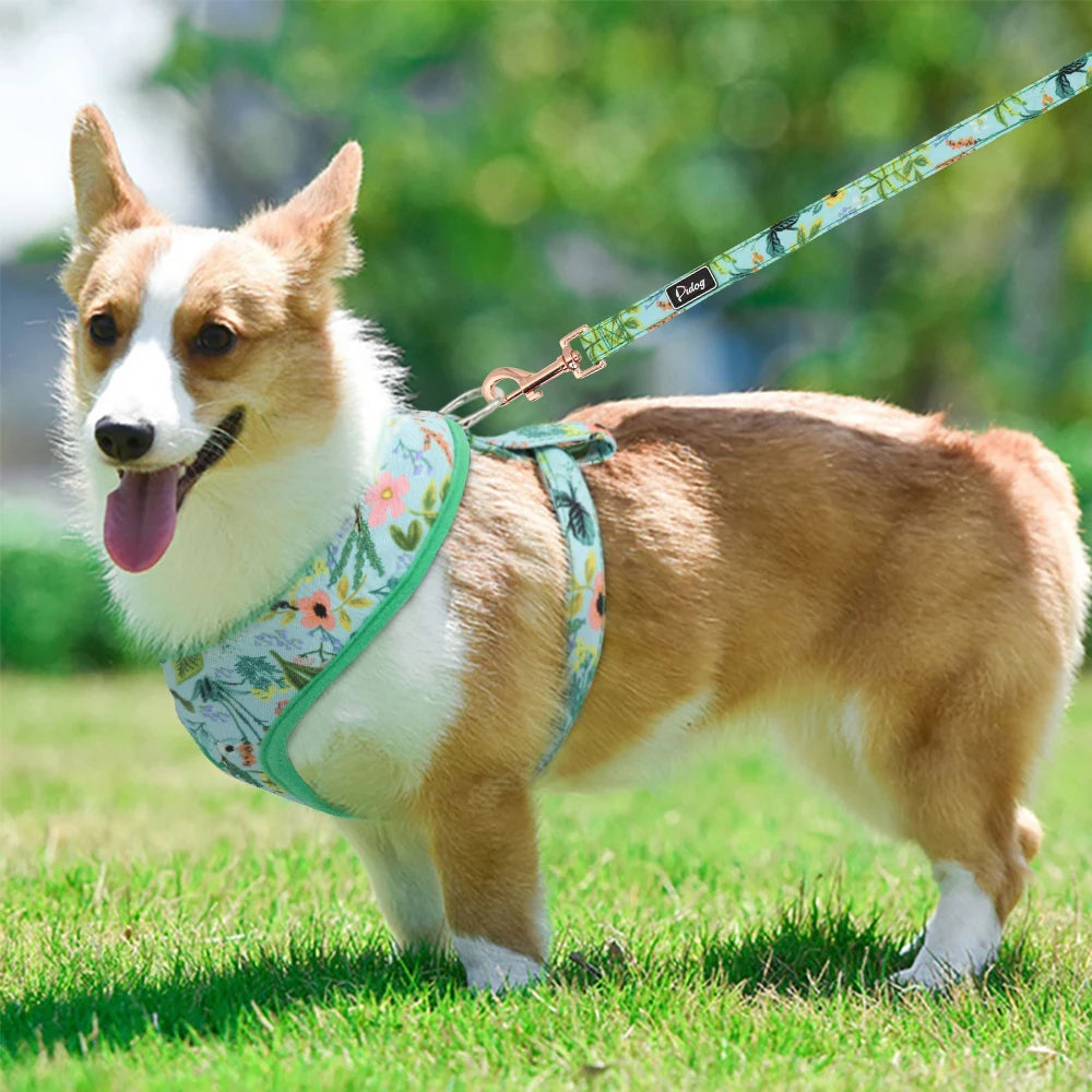 Floral Dog Harness and Leash Set - Adjustable Comfort Vest for Small to Large Dogs