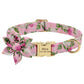 Personalized Dog Collar and Leash Set with Free Engraving