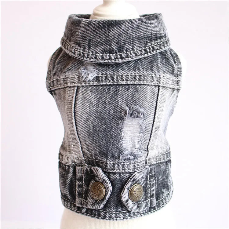 Premium Denim Cat Vest - Spring & Autumn Jacket for Small to Medium Cats