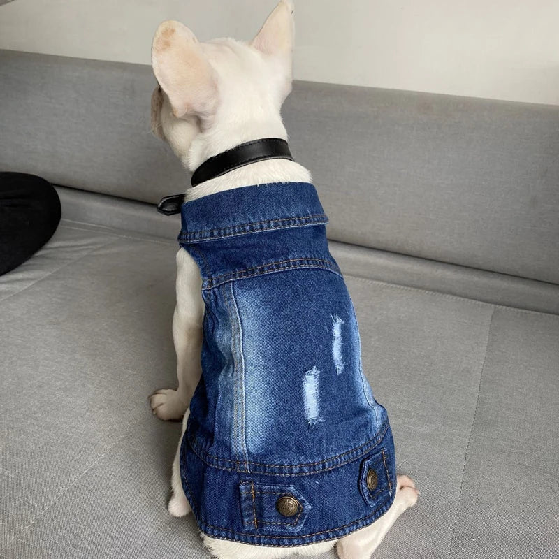 Premium Denim Cat Vest - Spring & Autumn Jacket for Small to Medium Cats