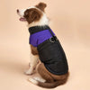 Waterproof Winter Dog Vest Jacket