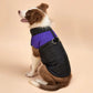 Waterproof Winter Dog Vest Jacket