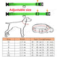 LED USB Rechargeable Dog Collar - 3 Light Modes for Night Safety