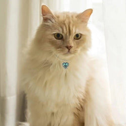 Rhinestone Cat Collar with Crystal Pendant