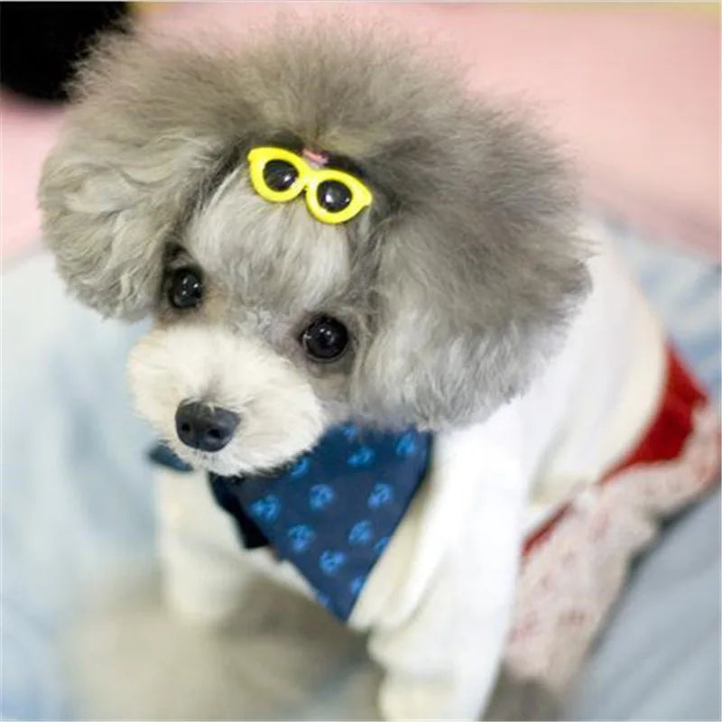 Adorable Pet Heart Sunglasses & Hair Clips - Fashion Accessories for Dogs & Cats