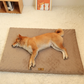 Orthopedic Pet Bed with Removable Washable Cover