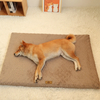 Orthopedic Pet Bed with Removable Washable Cover