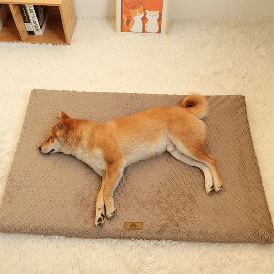 Orthopedic Pet Bed with Removable Washable Cover