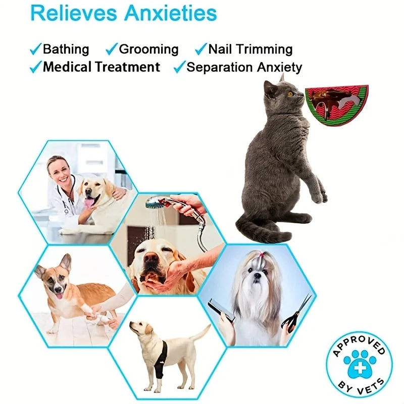 Silicone Slow Feeder Mat with Suction Cup