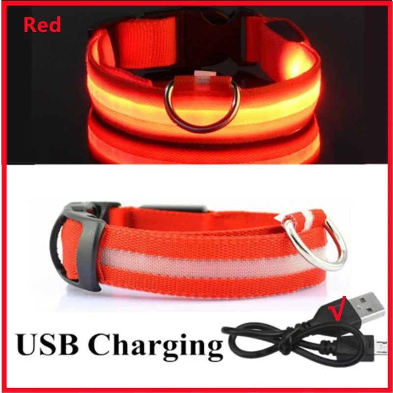 LED USB Rechargeable Dog Collar - 3 Light Modes for Night Safety