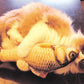 Cat Fish Toy Scratch Board with Plush Stuffing