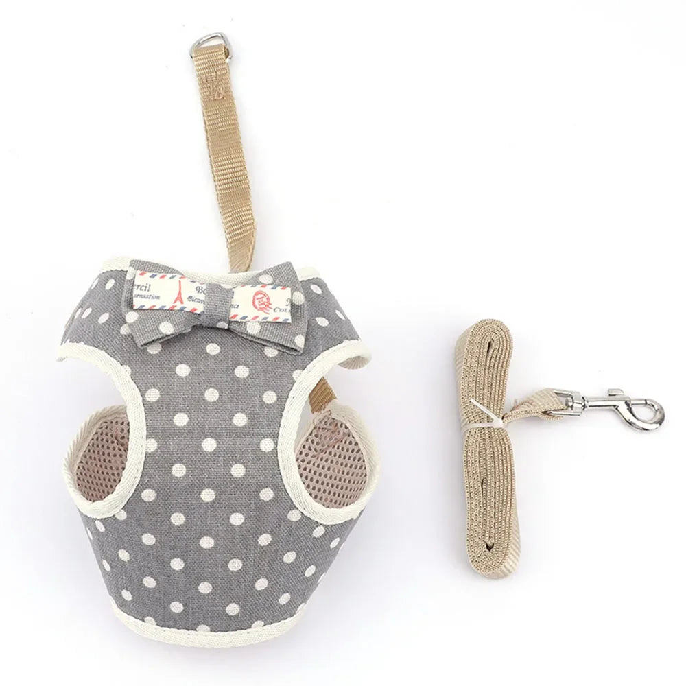 Nylon Mesh Pet Harness and Leash Set for Small Cats and Dogs