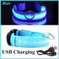 LED USB Rechargeable Dog Collar - 3 Light Modes for Night Safety