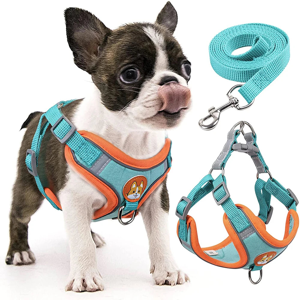 Adjustable Step-In Dog Harness & Leash Set - Reflective Padded Vest for Small to Medium Dogs