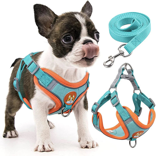 Adjustable Step-In Dog Harness & Leash Set - Reflective Padded Vest for Small to Medium Dogs