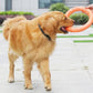 Premium EVA Pet Flying Disk - Interactive Training Ring Puller for Dogs