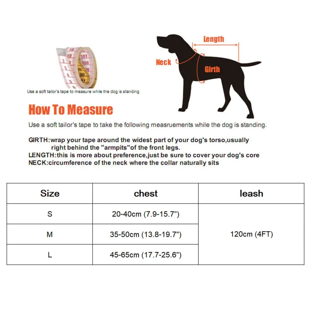 Nylon Mesh Pet Harness and Leash Set for Small Cats and Dogs