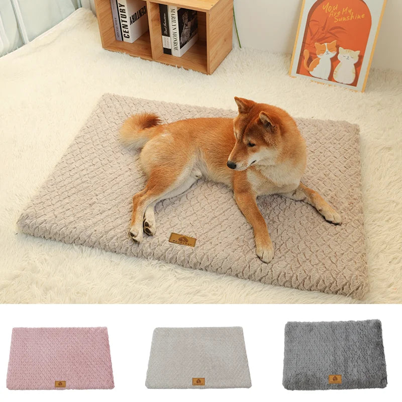 Orthopedic Pet Bed with Removable Washable Cover
