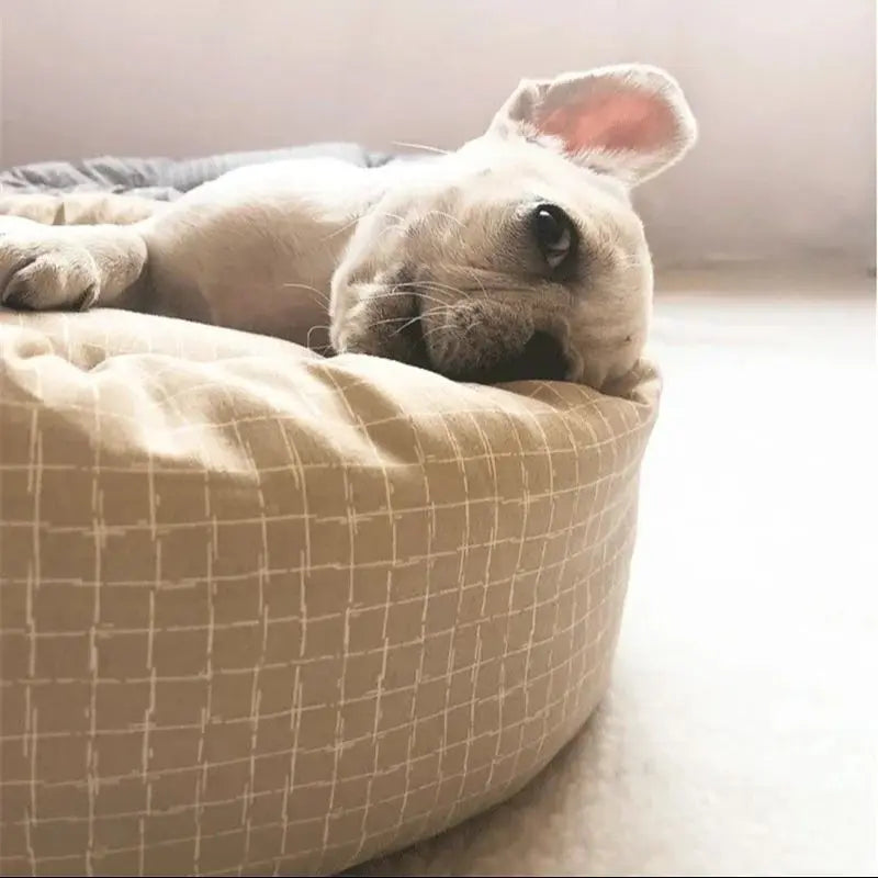 Premium Plush Pet Bed - Comfortable Basket for Small to Large Dogs & Cats