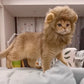 Lion Mane Cat Costume - Adjustable Pet Headgear for Cats and Dogs