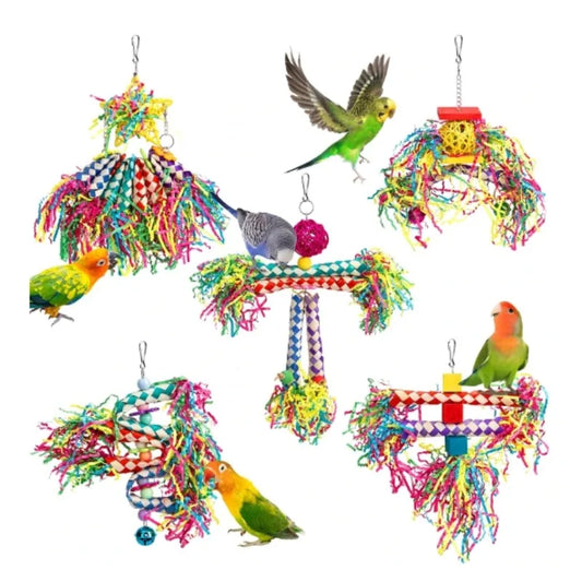 Parrot Biting and Chewing Toy Set