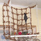 Parrot Rope Climbing Net Adventure Toy