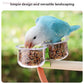 Parrot Food Bowl Feeder with Clip