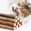 Natural Catnip Sticks for Cats