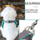 Adjustable Step-In Dog Harness & Leash Set - Reflective Padded Vest for Small to Medium Dogs