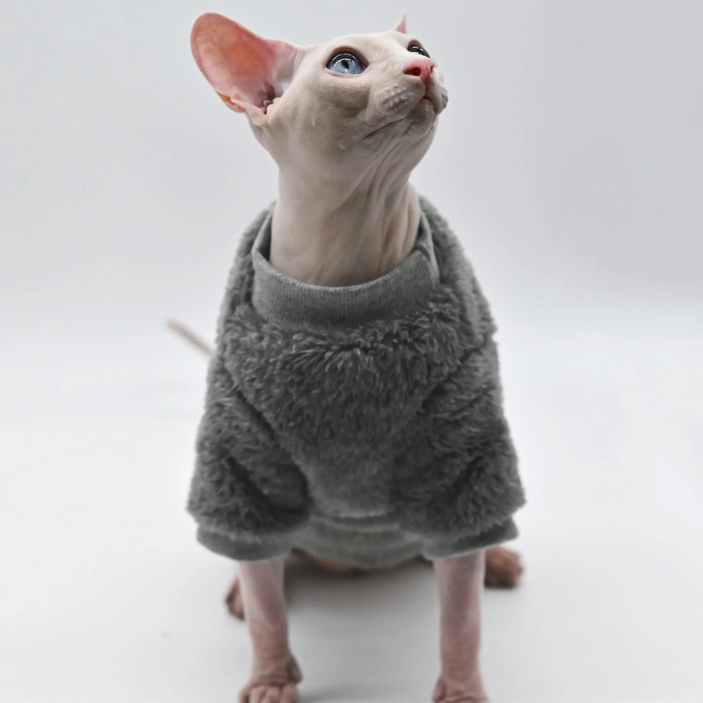 Double-Sided Fluffy Winter Jacket for Hairless Cats & Sphynx